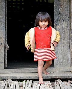 �R�����̏����̎ʐ^