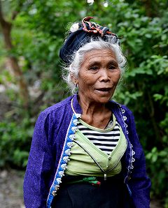 �R�����i�P�j�̎ʐ^