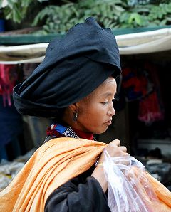 �U�I�J�I���i�Q�j�̎ʐ^