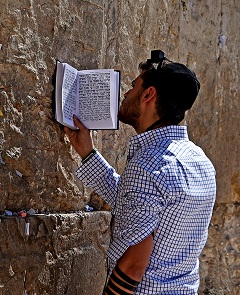 �Q���̕ǁ@�l�X�̋F��(2)