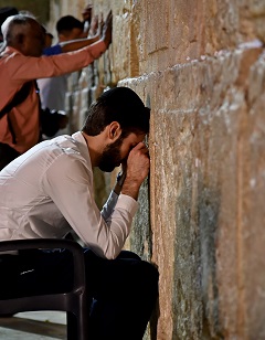 �Q���̕ǁ@�l�X�̋F��(8)