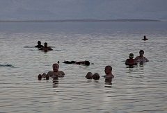 ���C���V�̌�(1)