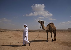 �����ɕ�炷�x�h�E�B��