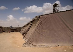 �����ɕ�炷�x�h�E�B���@�e���g