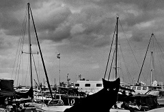 �`�����b�t�H(2)