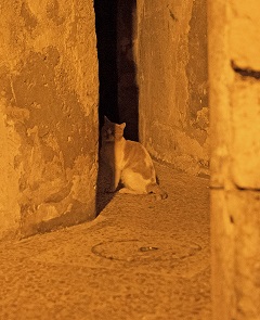 ���n�ւ̓�(1)"