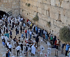 �Q���̕ǁ@�j�q��