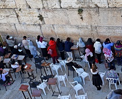 �Q���̕ǁ@���q��