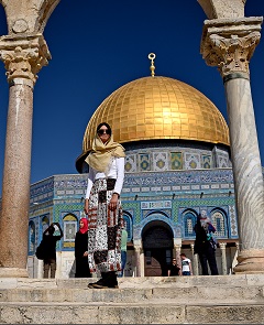 ��̃h�[���@�C�X�����̐��n