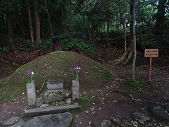 ���q�V�S�揊