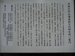 ����w�܉Y���p����������