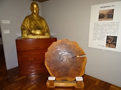 ���q�V�S����