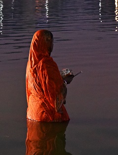 �����΂ɓ��葾�z�_�ɋF�������鏗(2)