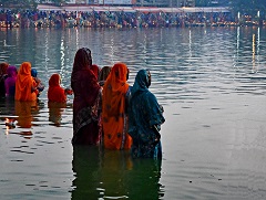 �����΂ɓ��葾�z�_�ɋF�������鏗����