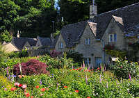 �R�b�c�E�H���Y�n���@�n�C�u���[�@�ԂɈ͂܂ꂽ�I���F�̖��Ƃ̎ʐ^