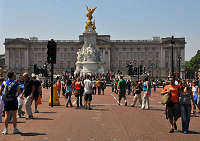 �����h���@�o�b�L���K���{�a�̎ʐ^