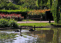 �����h���@�C�M���X�ő勉���K�N���N�C�[���Y�E���A���[�Y�E�K�[�f���@�����̎ʐ^