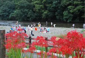 �����̐쌴�ŏH���y���ޕ��̎ʐ^