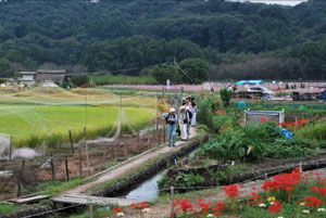 �В��c�̎ʐ^