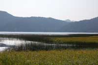 ���H�̔������̎ʐ^����1