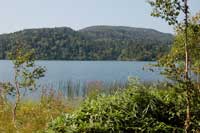 ���H�̔������̎ʐ^����2