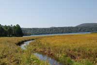 ���H�̔������̎ʐ^����3